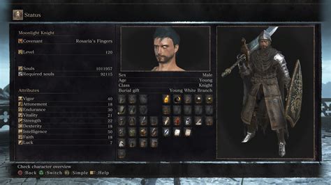 build lv 170 ds3|Dark Souls 3 Quality Build .